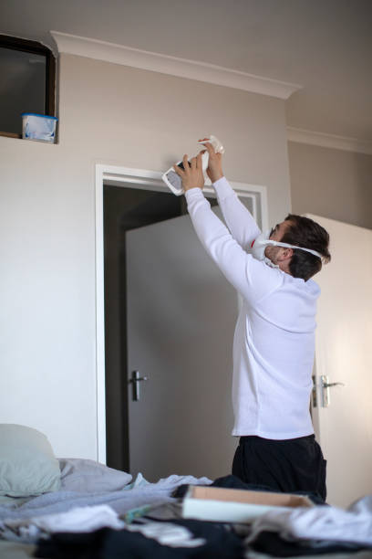 Best Dehumidification Services  in Springfield, GA