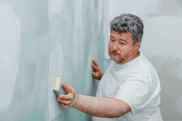 Best Asbestos and Lead Testing During Mold Inspection  in Springfield, GA