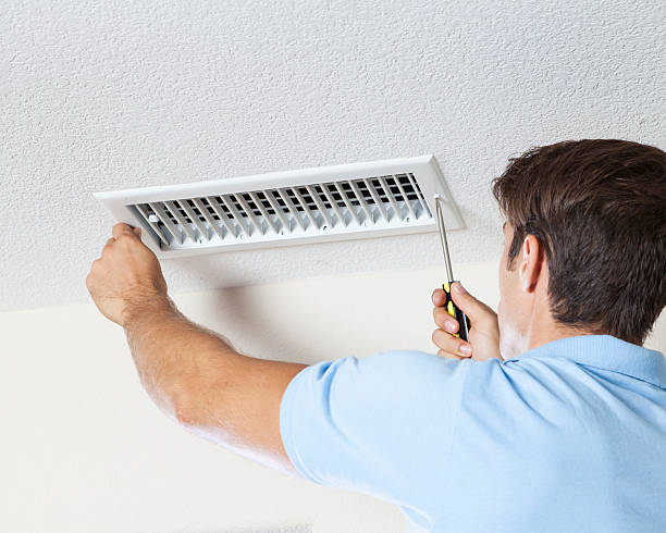 Best Air Quality Testing for Mold Spores  in Springfield, GA