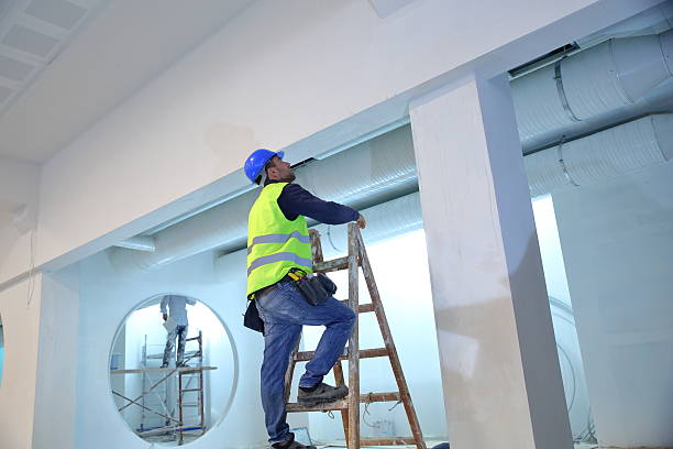 Best Mold Prevention Services  in Springfield, GA