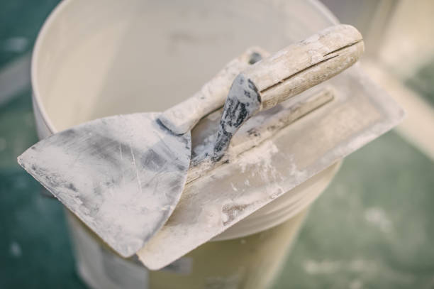  Springfield, GA Mold Removal Pros